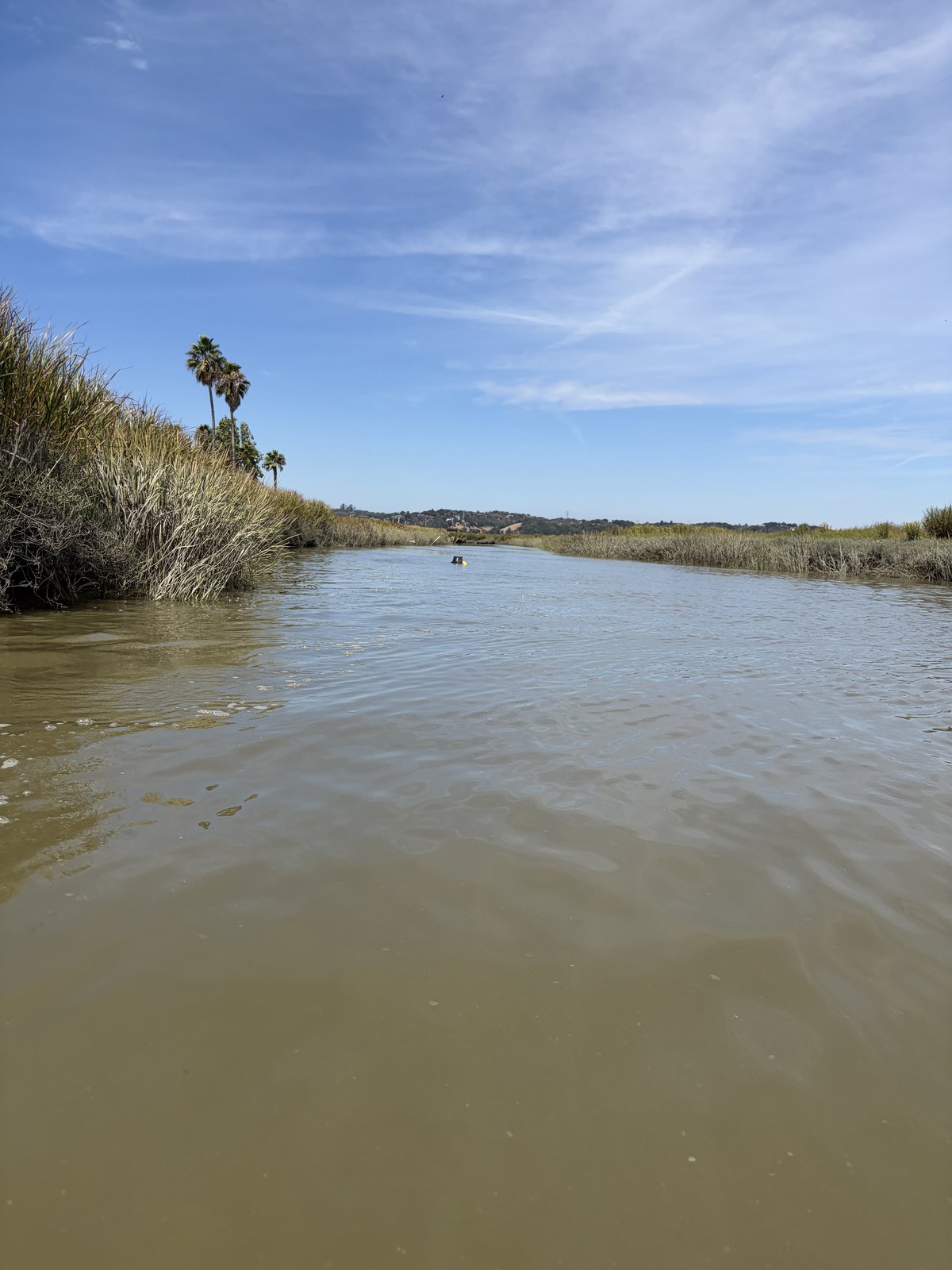 novatocreektidalchannel