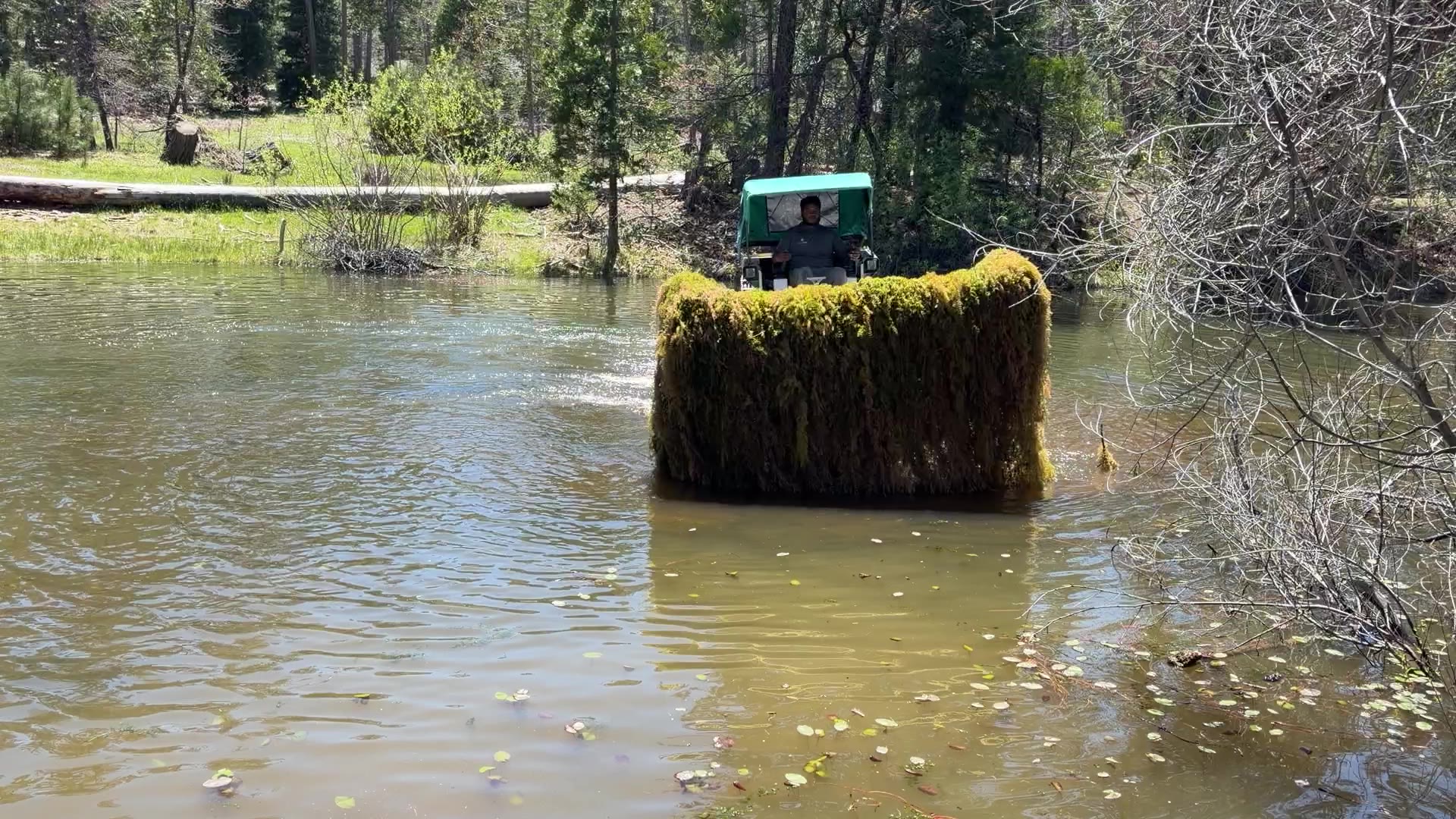 A Truxor pushing a full cut of harvested aquatic vegetation ahead of it across a shallow wooded pond