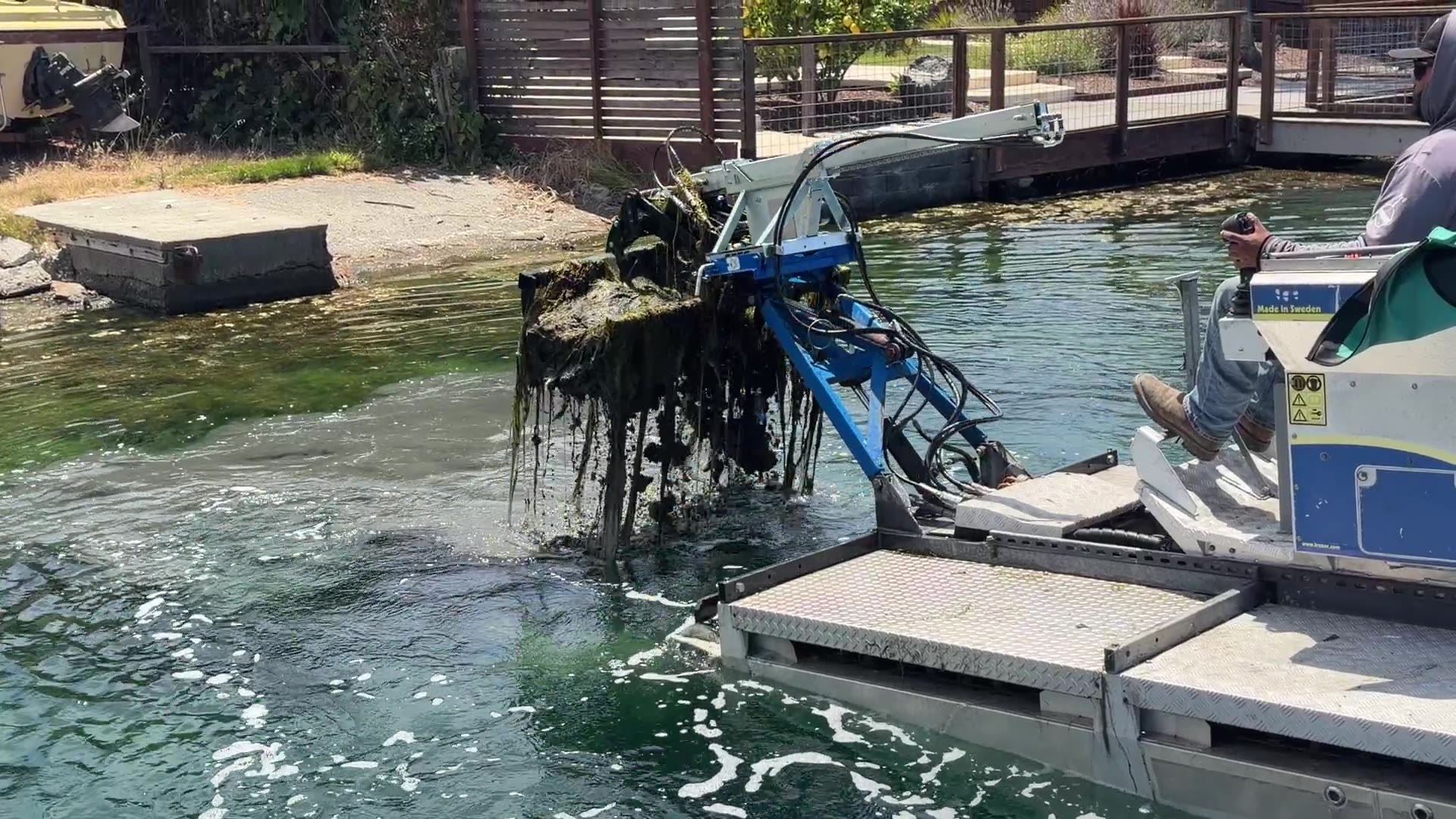 A Truxor lifting a dripping mass of harvested aquatic vegetation clear of the water on its rake attachment