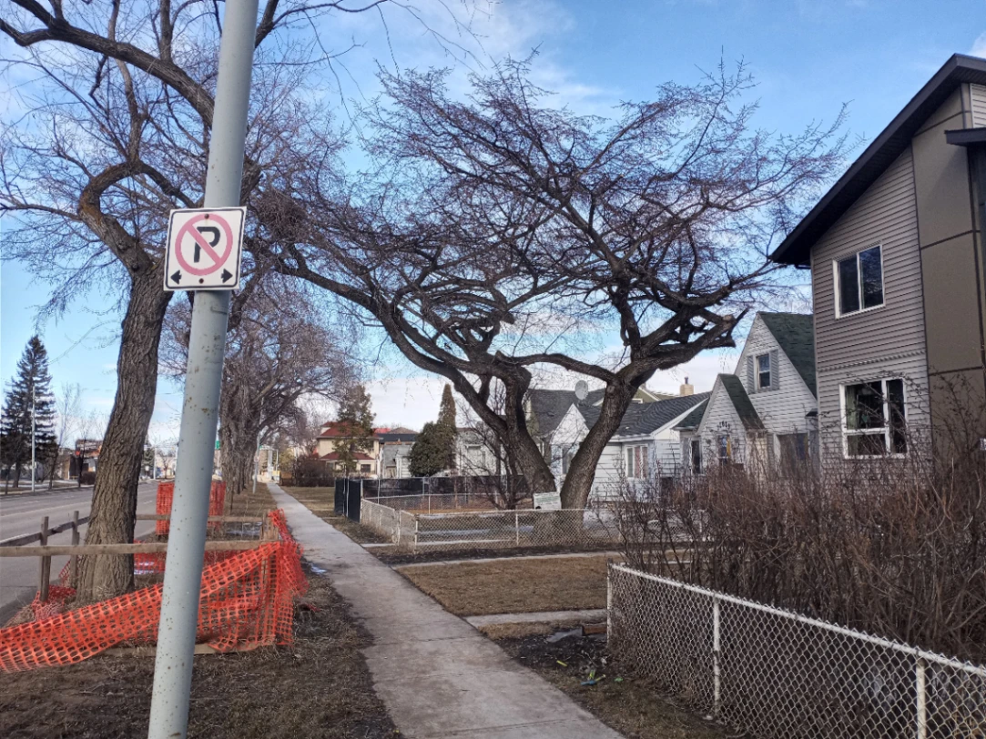 Flat Topped Tree