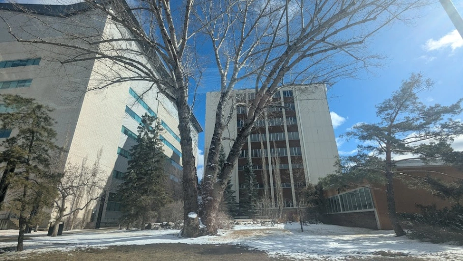 University of Alberta Poplar (GSB)