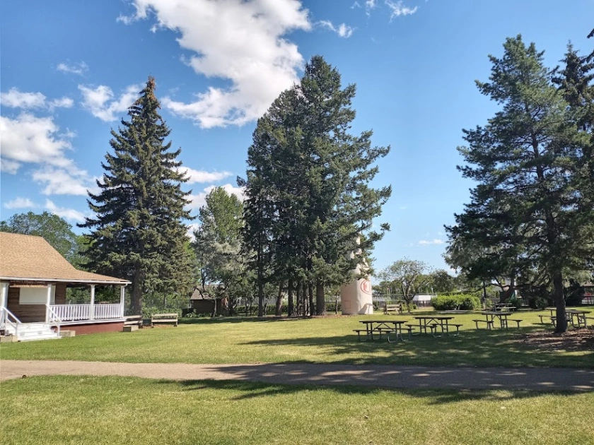 Bonanza Park Douglas Firs