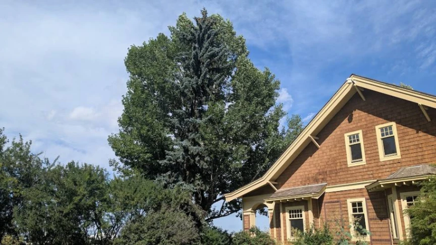 William Reader House Poplar