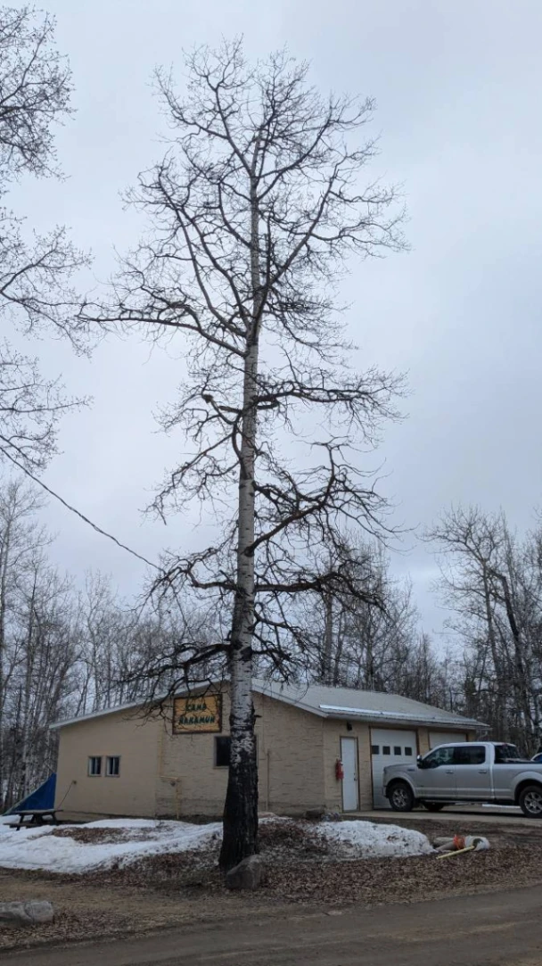 Camp Nakamun Aspen