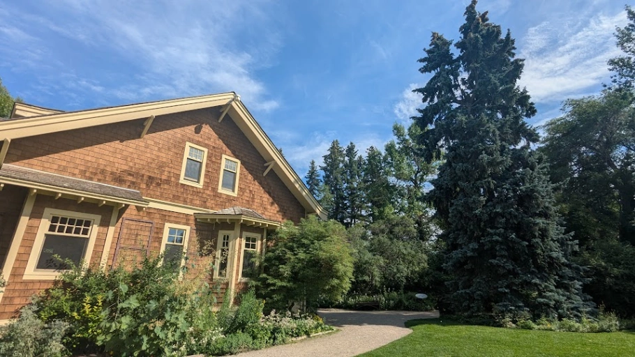 William Reader Colorado Blue Spruce