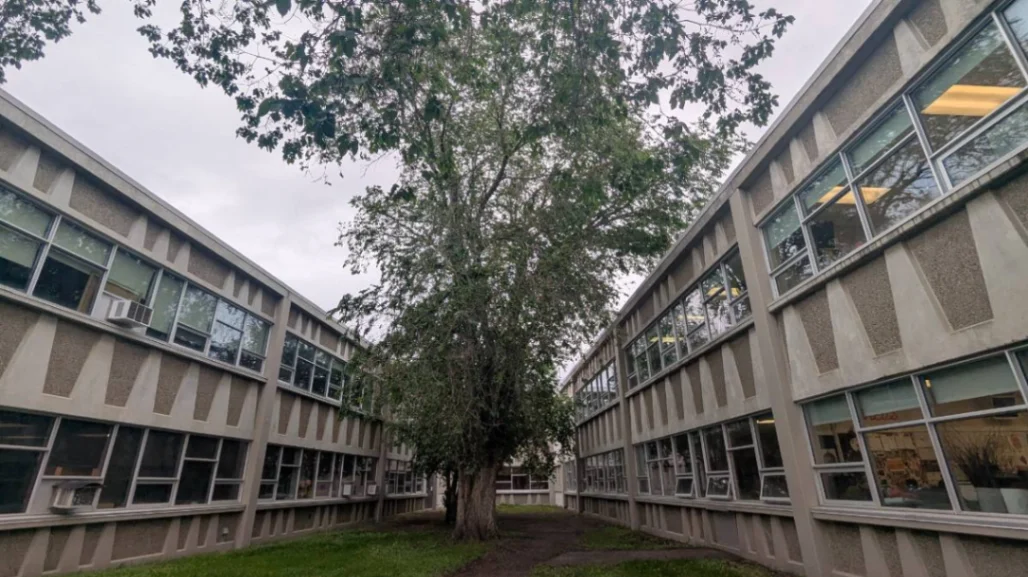 Jasper Place High School Elm