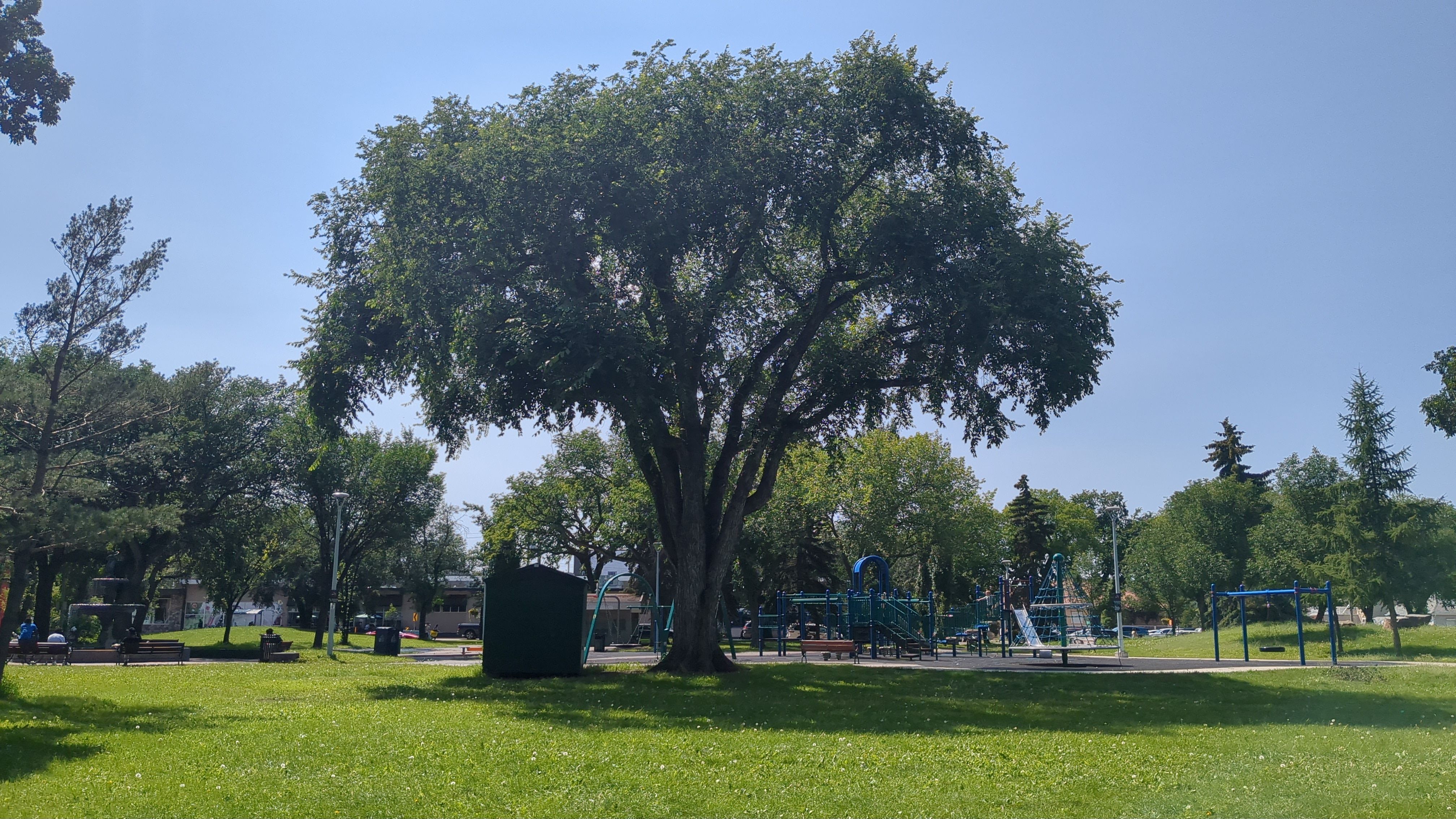 Giovanni Caboto Park Elm