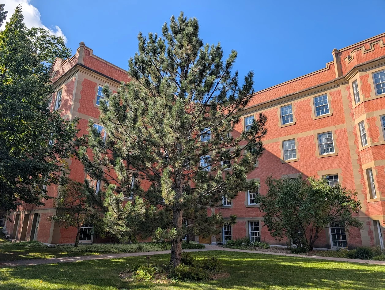 Athabasca Hall Austrian Pine