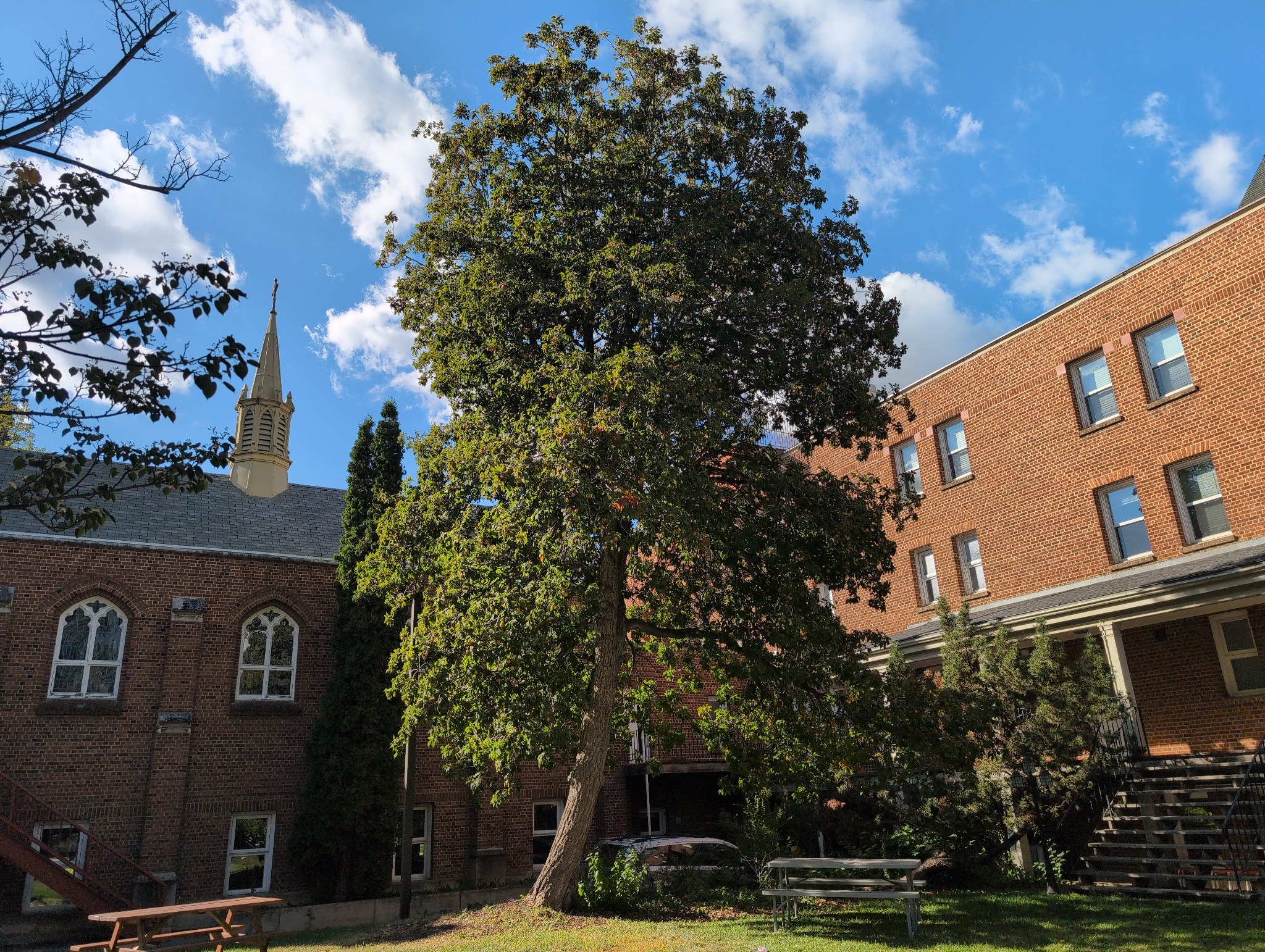 St. Joseph's Ohio Buckete