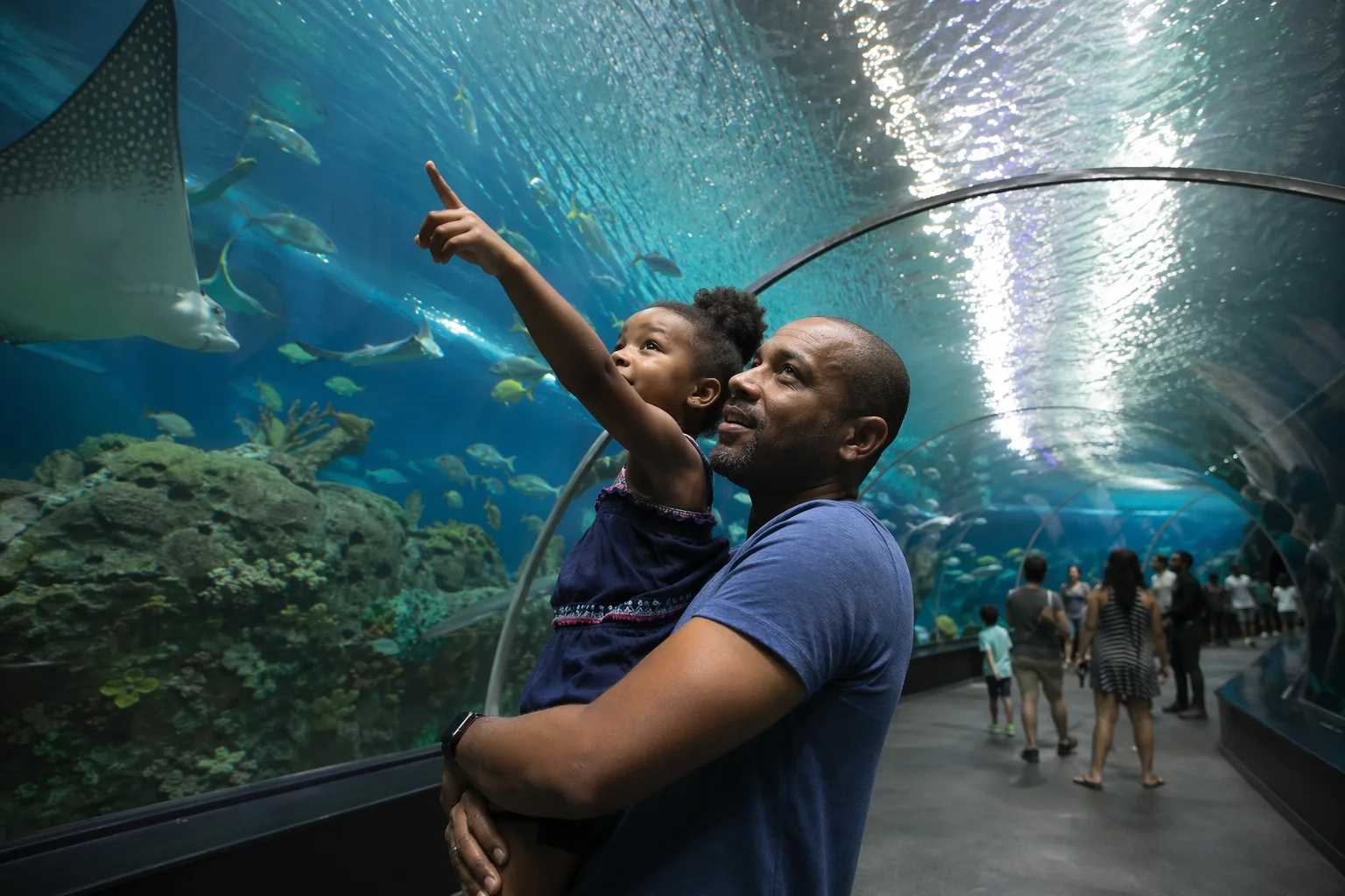 Exploring America's Top 10 Aquariums Without Breaking the Bank