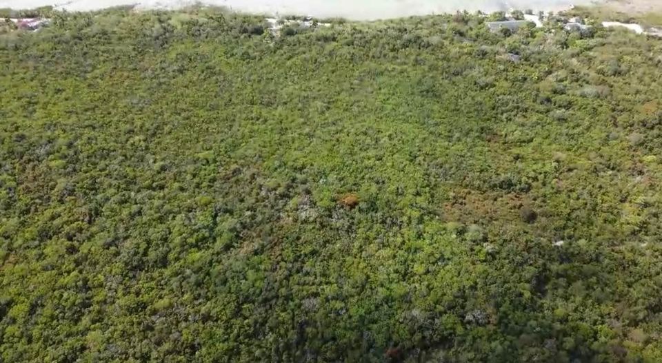 10 ACRES BEHRING POINT photo 3