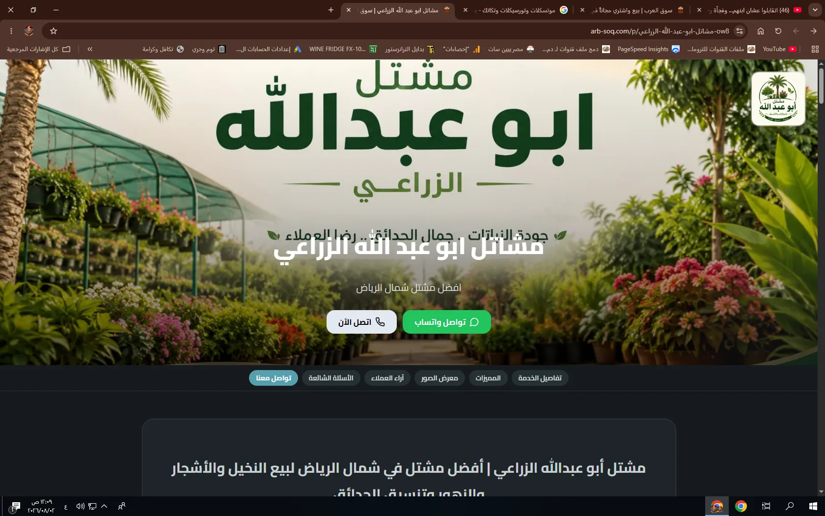 صفحة هبوط احترافية مقابل 50 ريال - صورة 3