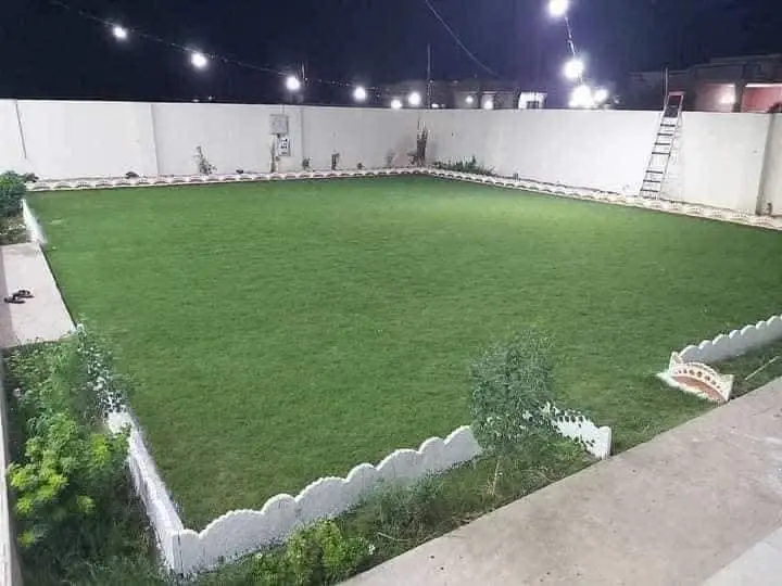 مشتل الماسه الزرقاء للزراعة تنسيق حدائق تركيب شبك - صورة 4