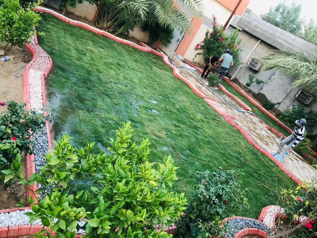 صورة 2