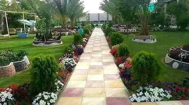 صورة 10