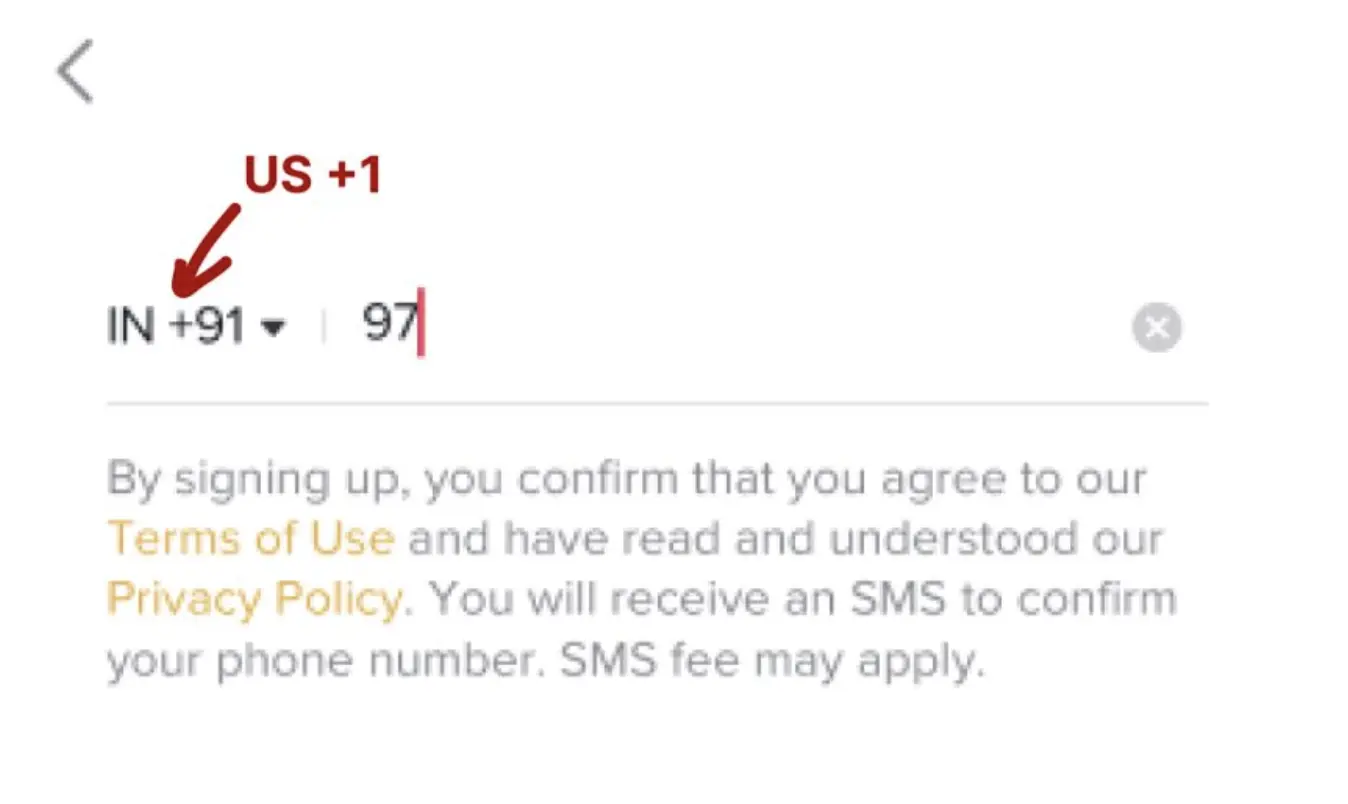 A screenshot of a phone number entry screen on TikTok, showing the US country code.