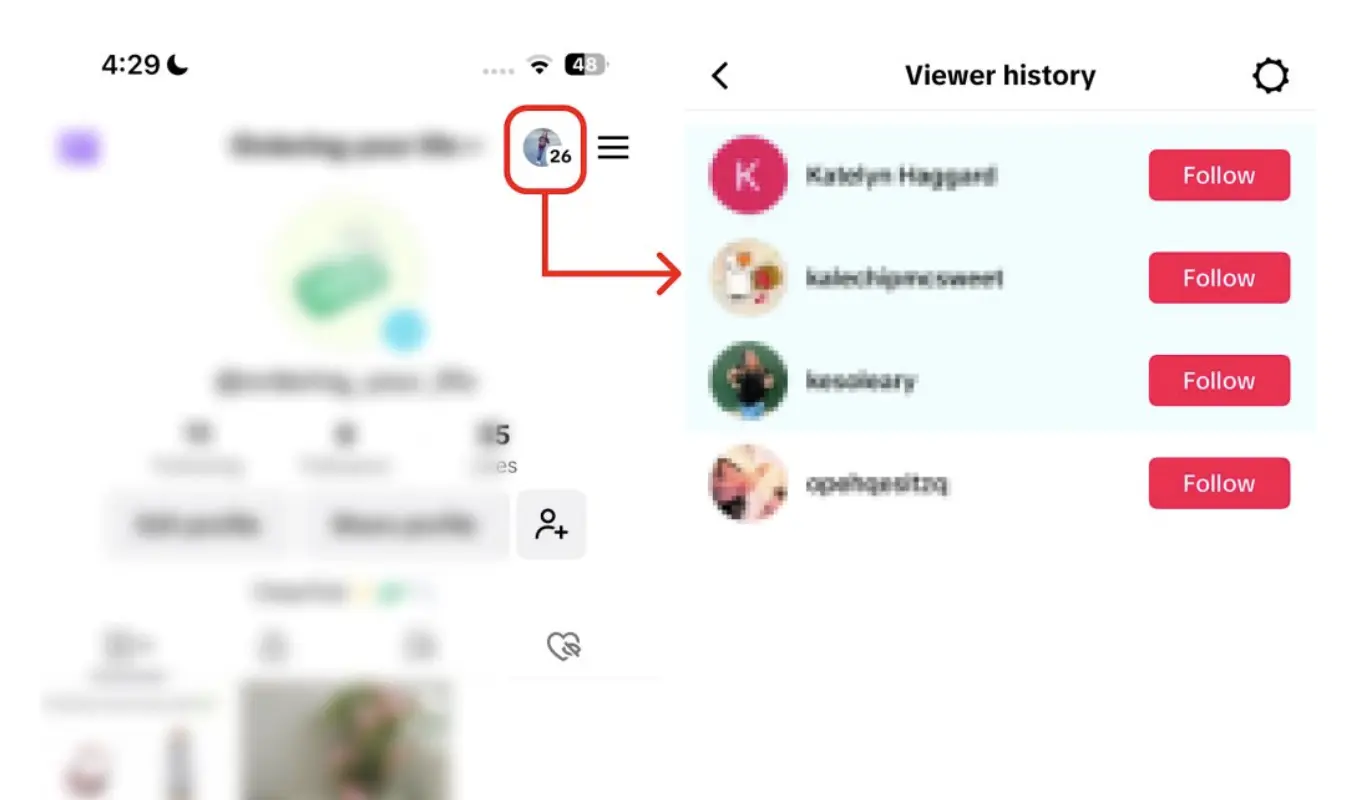 A screenshot of TikTok's profile viewer history.
