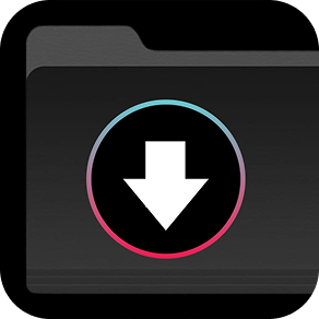 Bulk Downloader