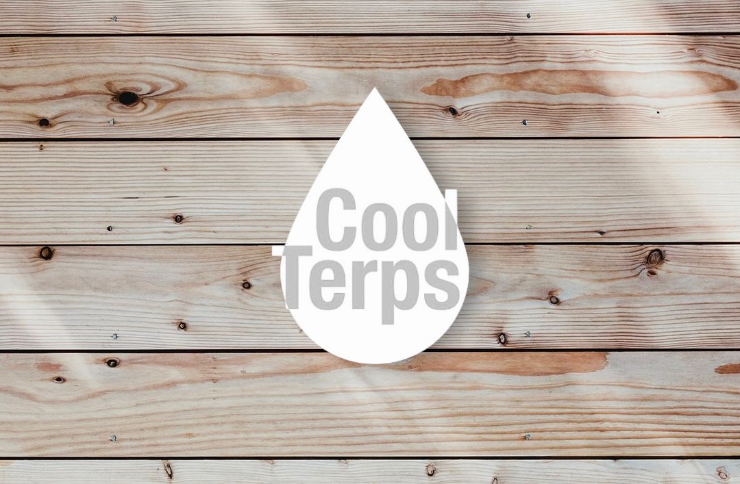 Categoria de produtos de Cool Terps