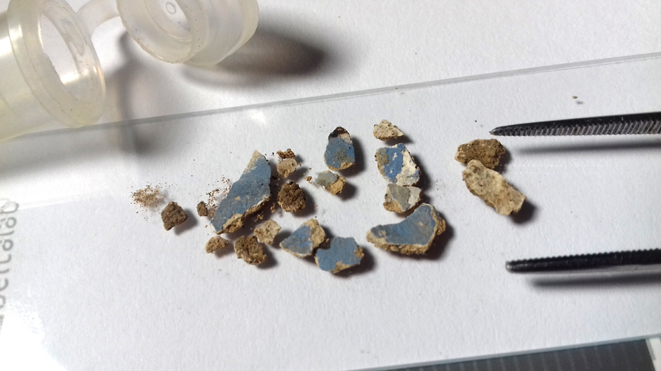 06 – Detail of sample, 2019. Photo by Milene Gil
