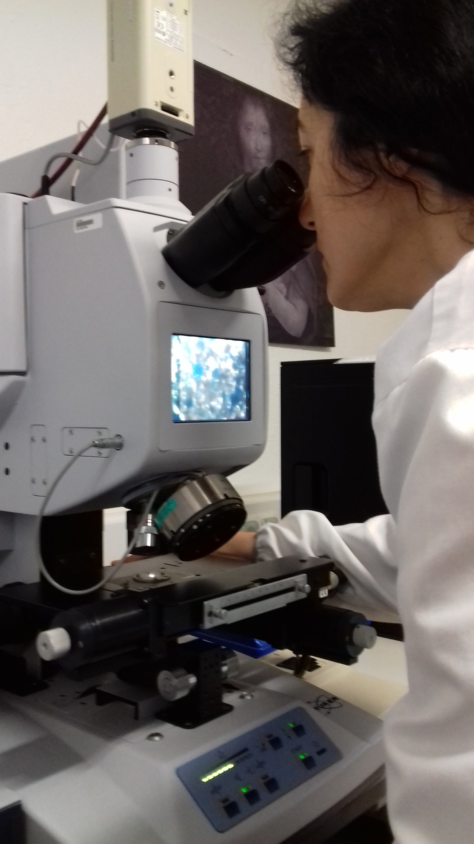 19 - FTIR (Fourier Transform Infrared Spectroscopy) analysis, 2018. Photo by Milene Gil