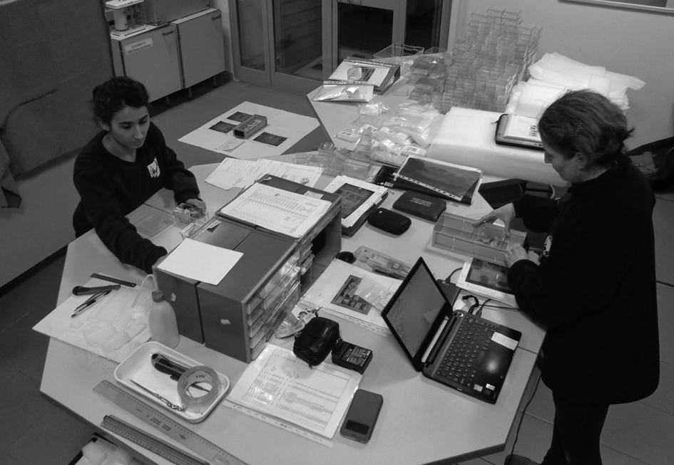 25 – Rehousing of samples, 2018. Photo by Milene Gil