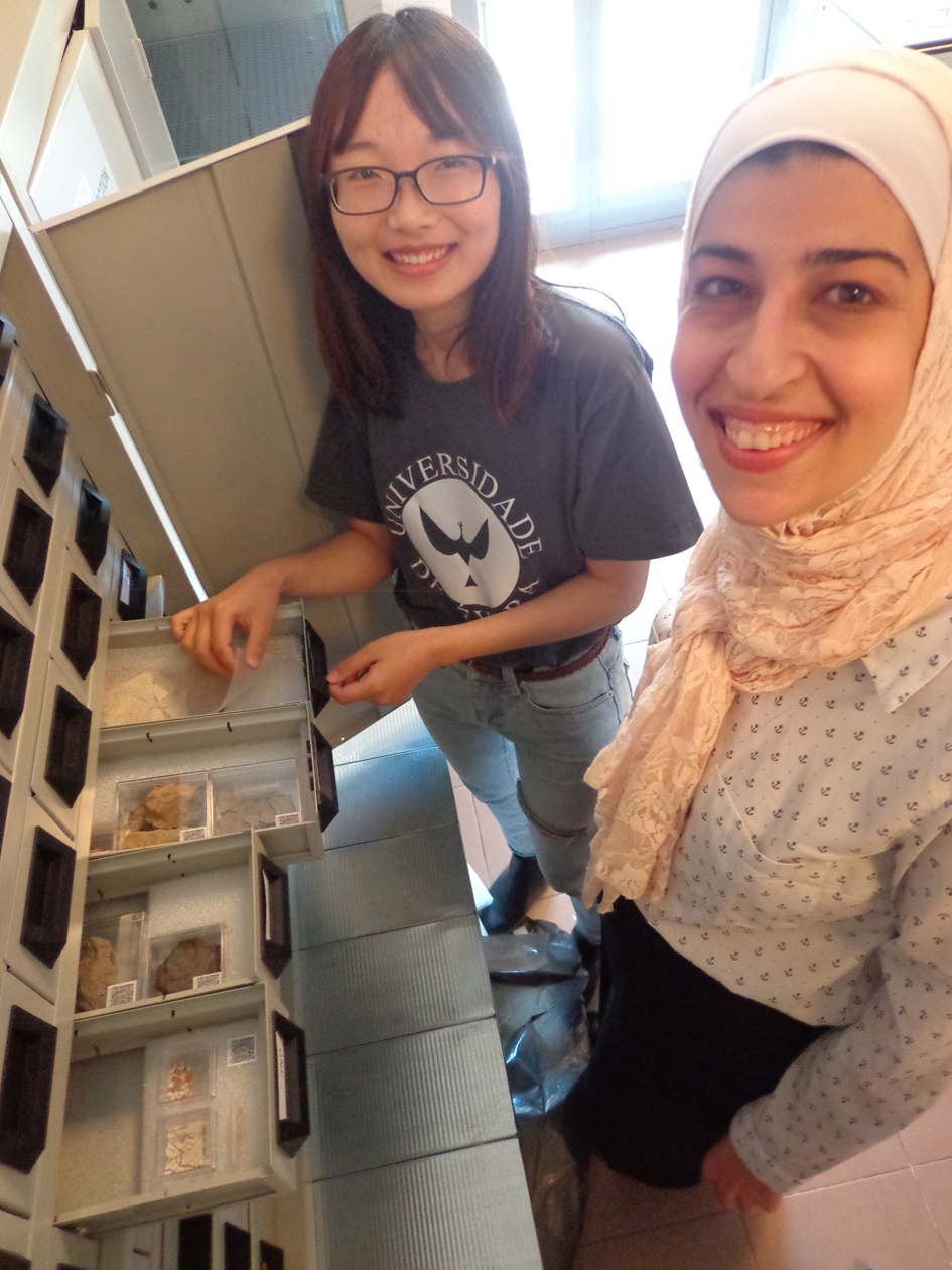 27 – Rehousing of samples, 2019. Photo by Milene Gil