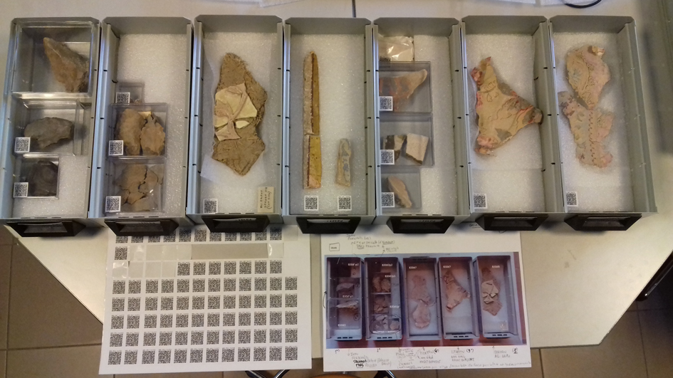 28 – Rehousing of samples, 2019. Photo by Milene Gil