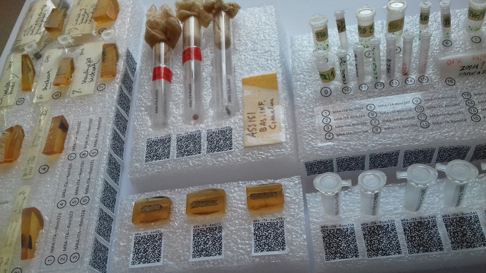 32 – Detail of final storage conditions, 2019. Photo by Milene Gil