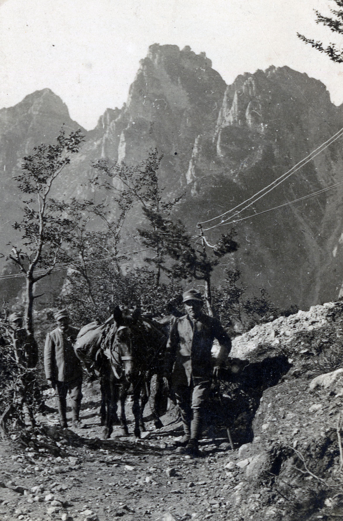 Monte Pasubio, soldati italiani con muli lungo la mulattiera in val di Fieno