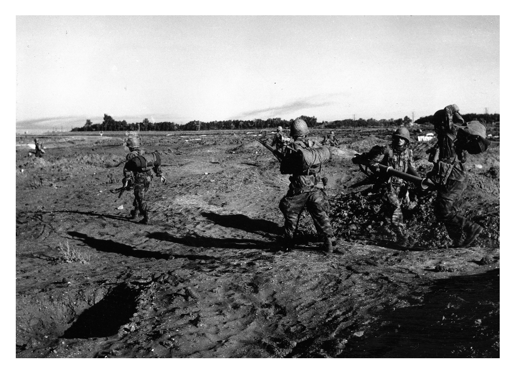 Atterraggio di paracadutisti francesi nella zona del Canale di Suez [336/138]