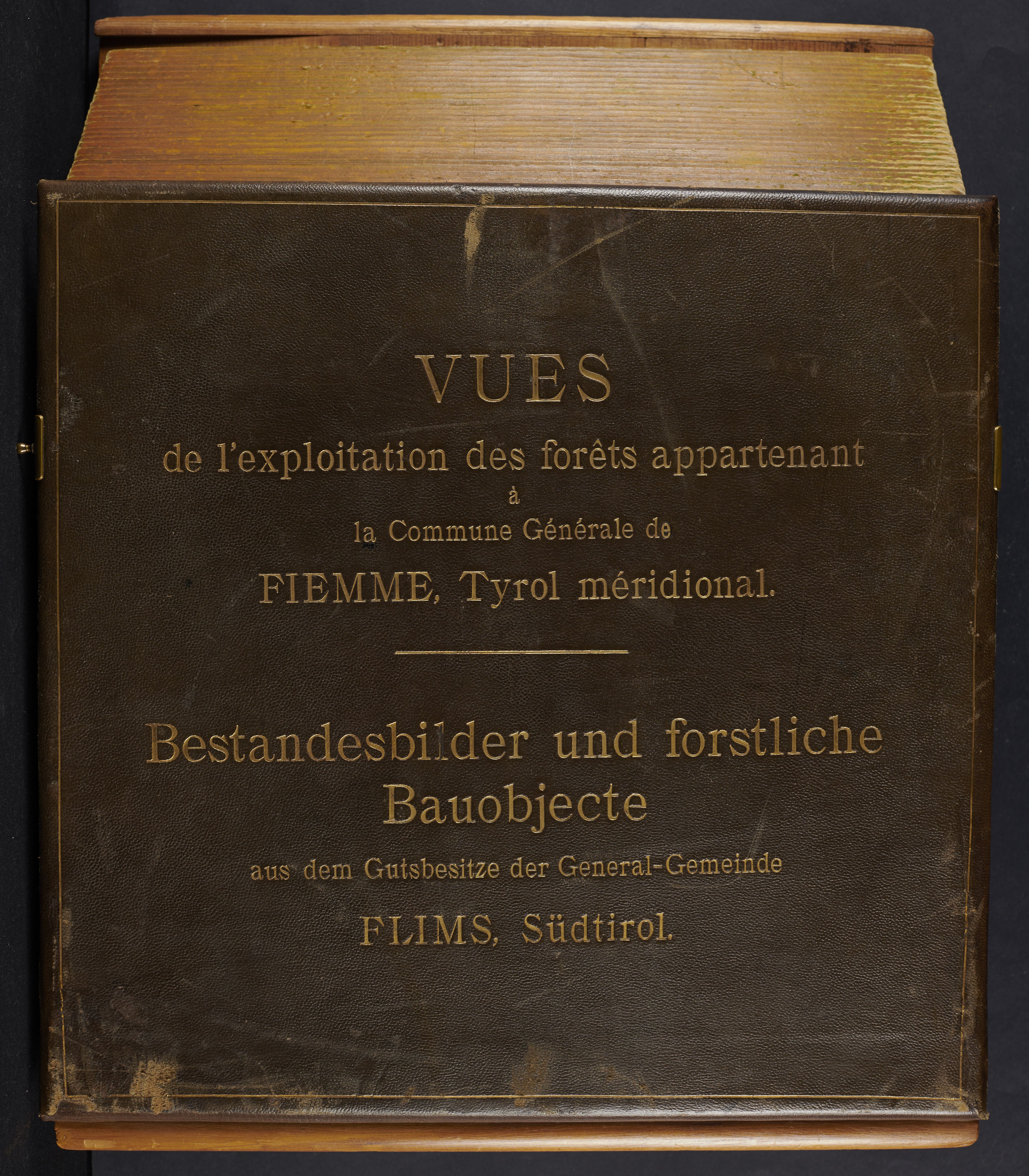 AMCF, Fotografie, Sc. 463.1 