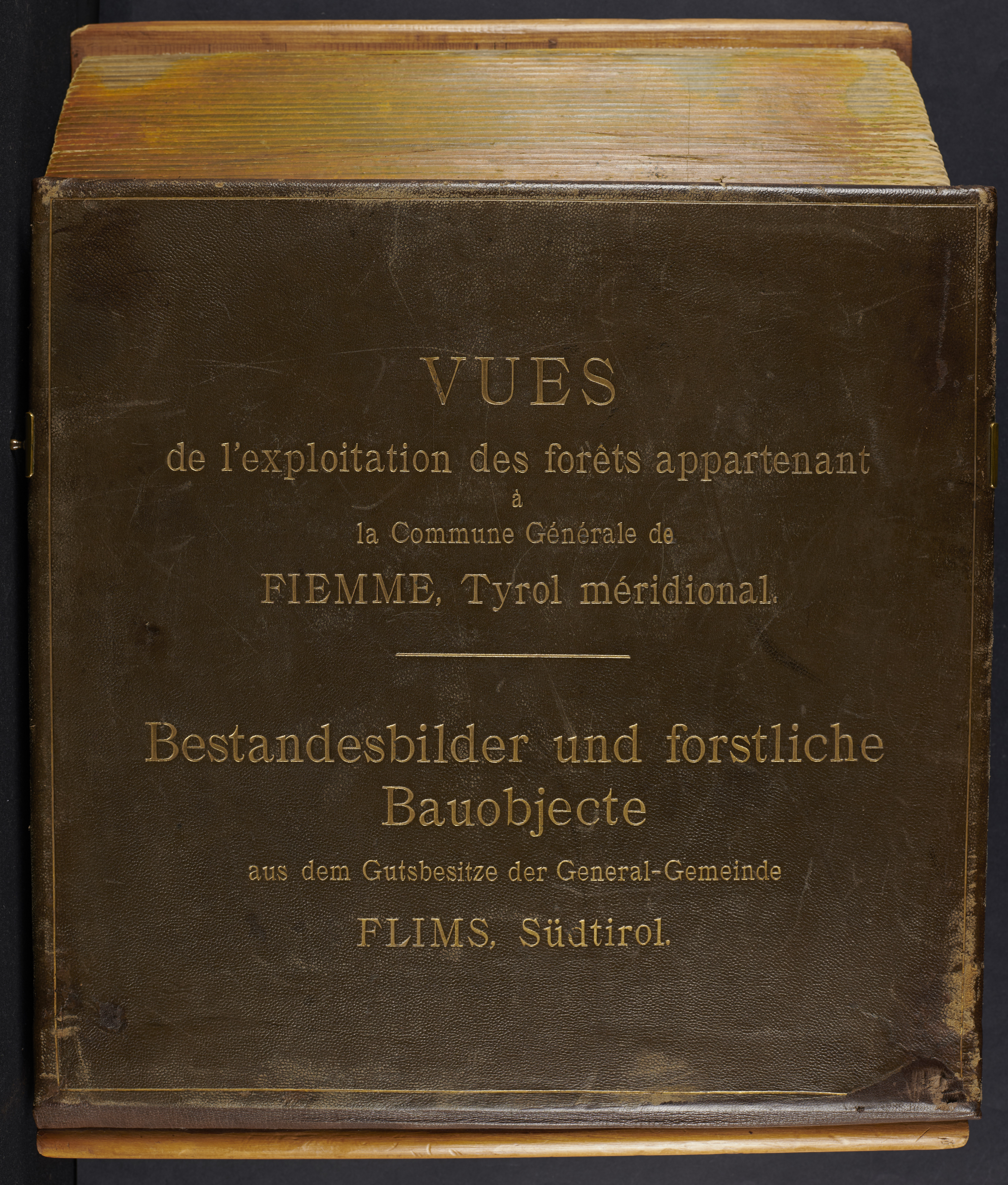 AMCF, Fotografie, Sc. 464.1