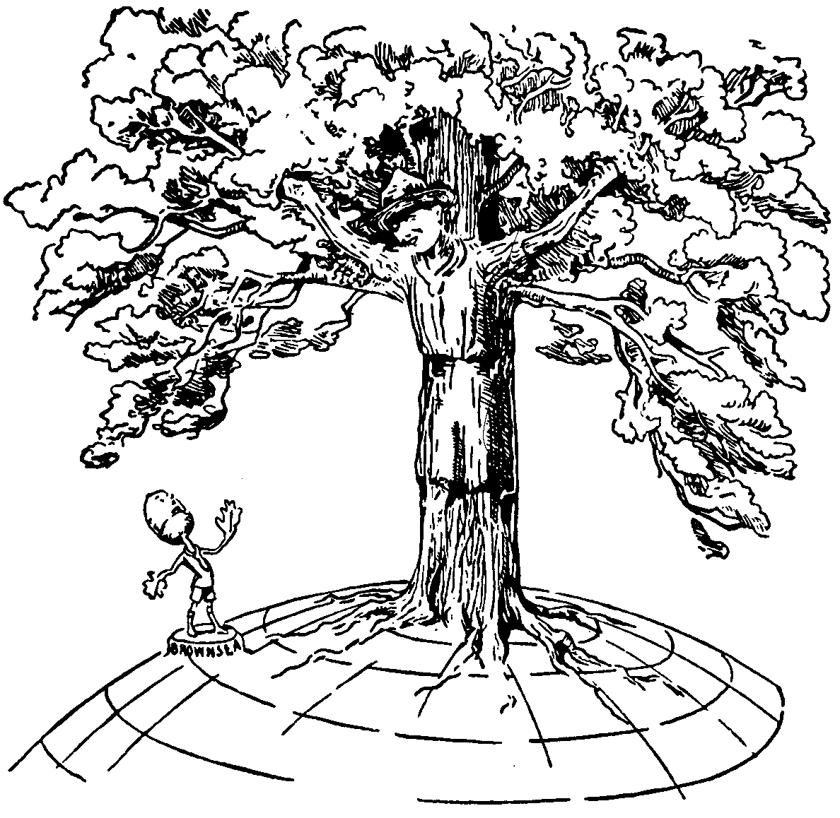 Disegno di Baden Powell
