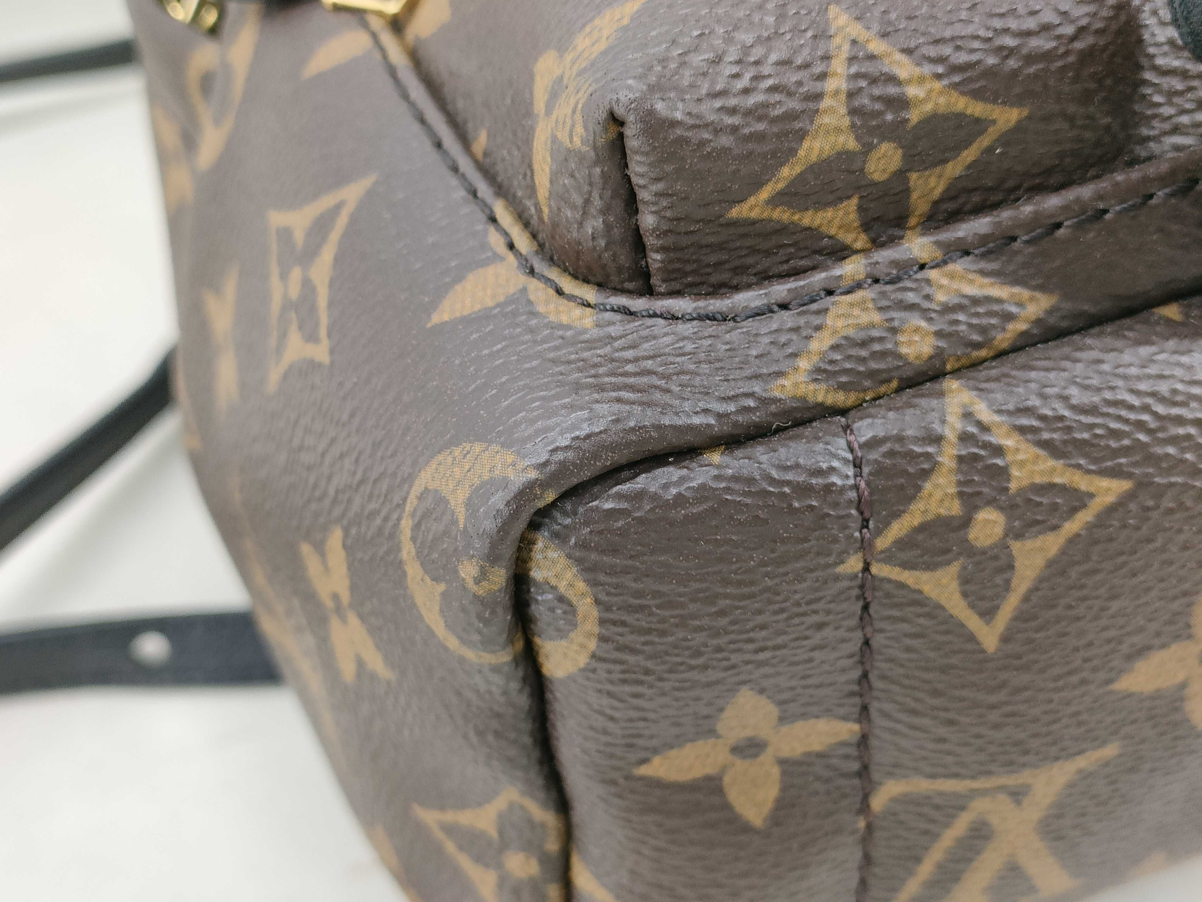 Monogram Palm Springs MINI Backpack AR1126 Backpack — view 4