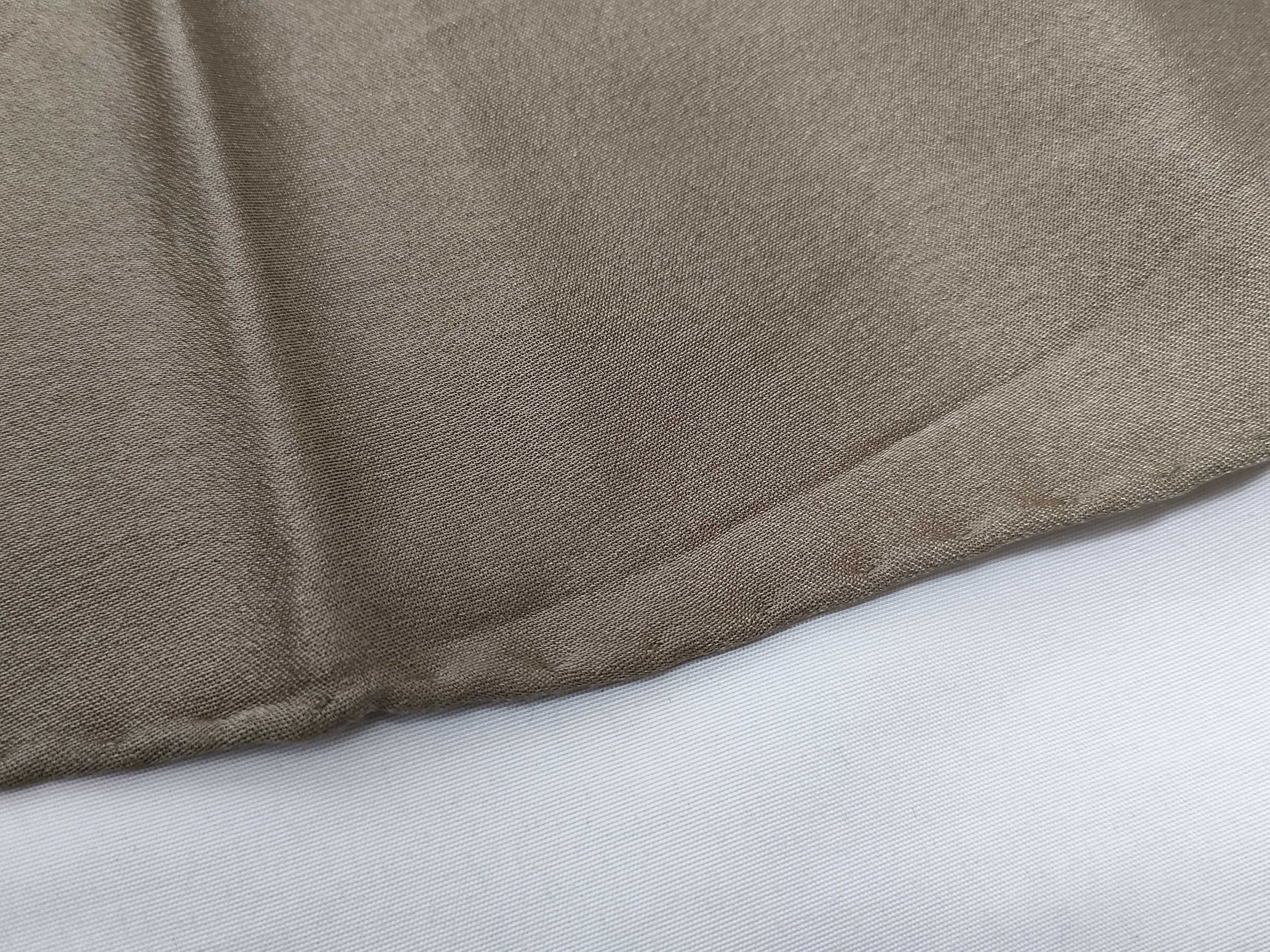Monogram Scarf and other accessories — view 4