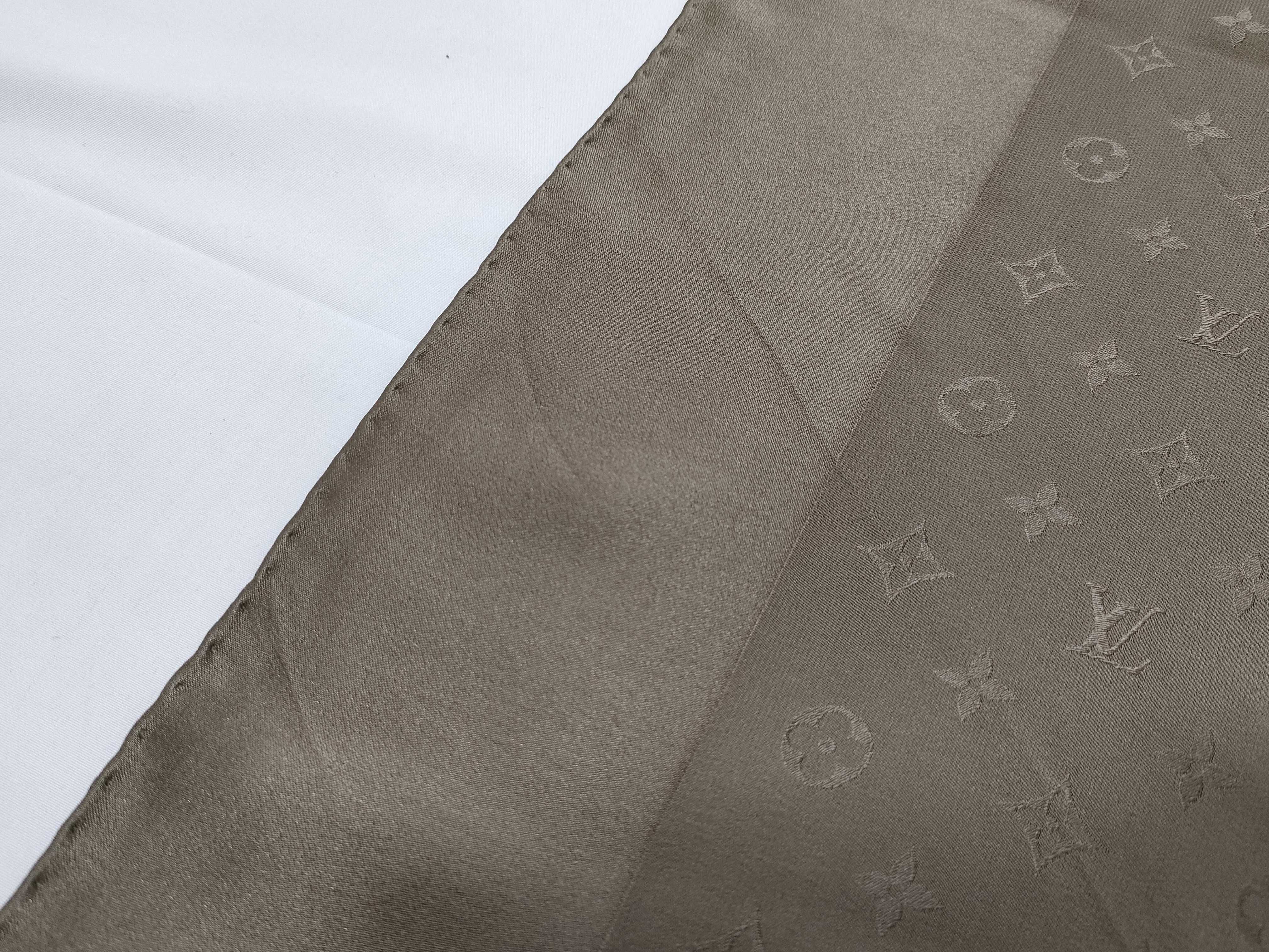 Monogram Scarf and other accessories — view 6