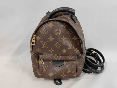Monogram Palm Springs Backpack MINI (Rucksack)