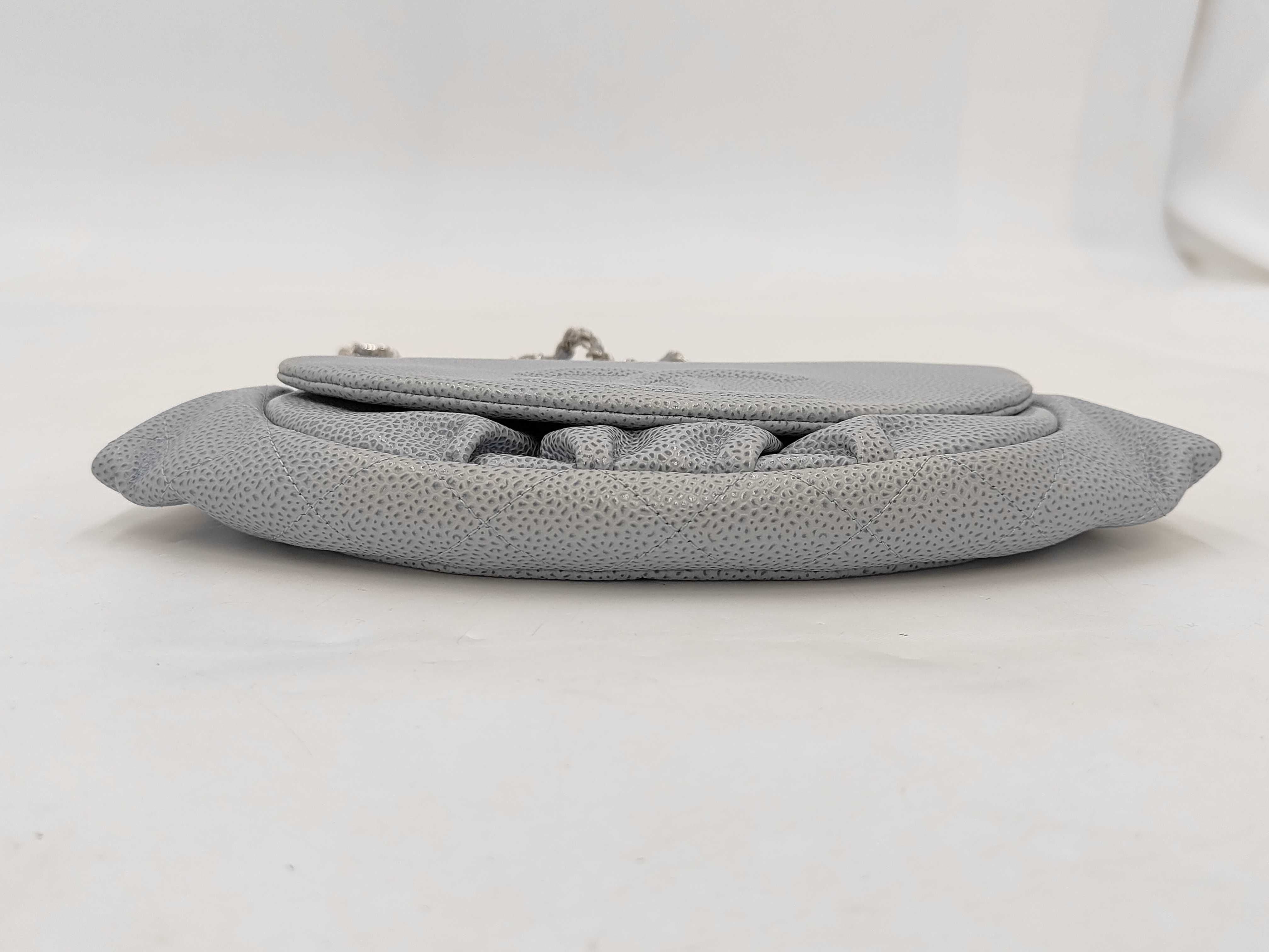 Chain Wallet, Rare Color: Light Blue, Shoulder Bag — view 6