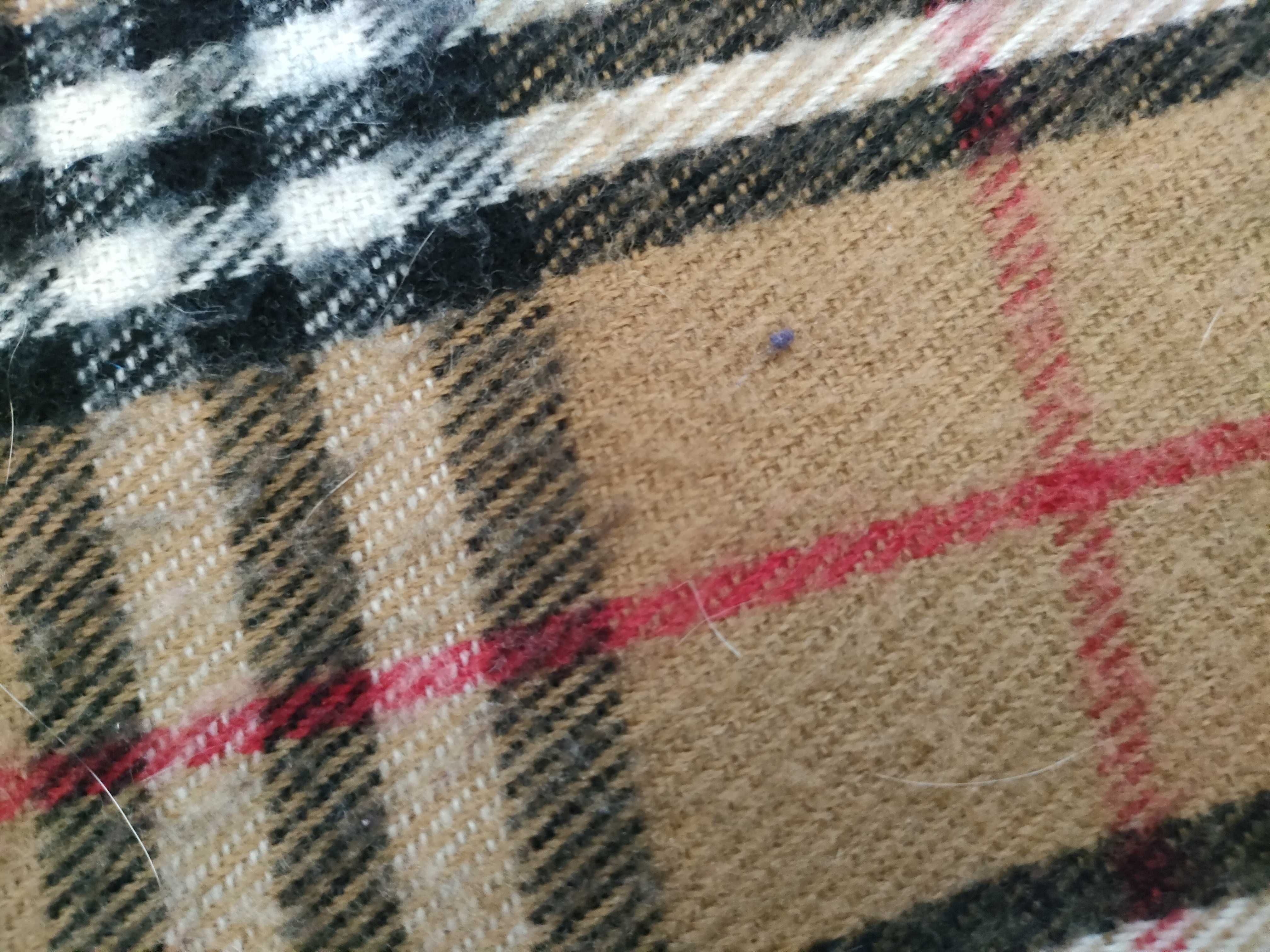 scarf, Nova check pattern, cashmere, and other accessories. — view 8