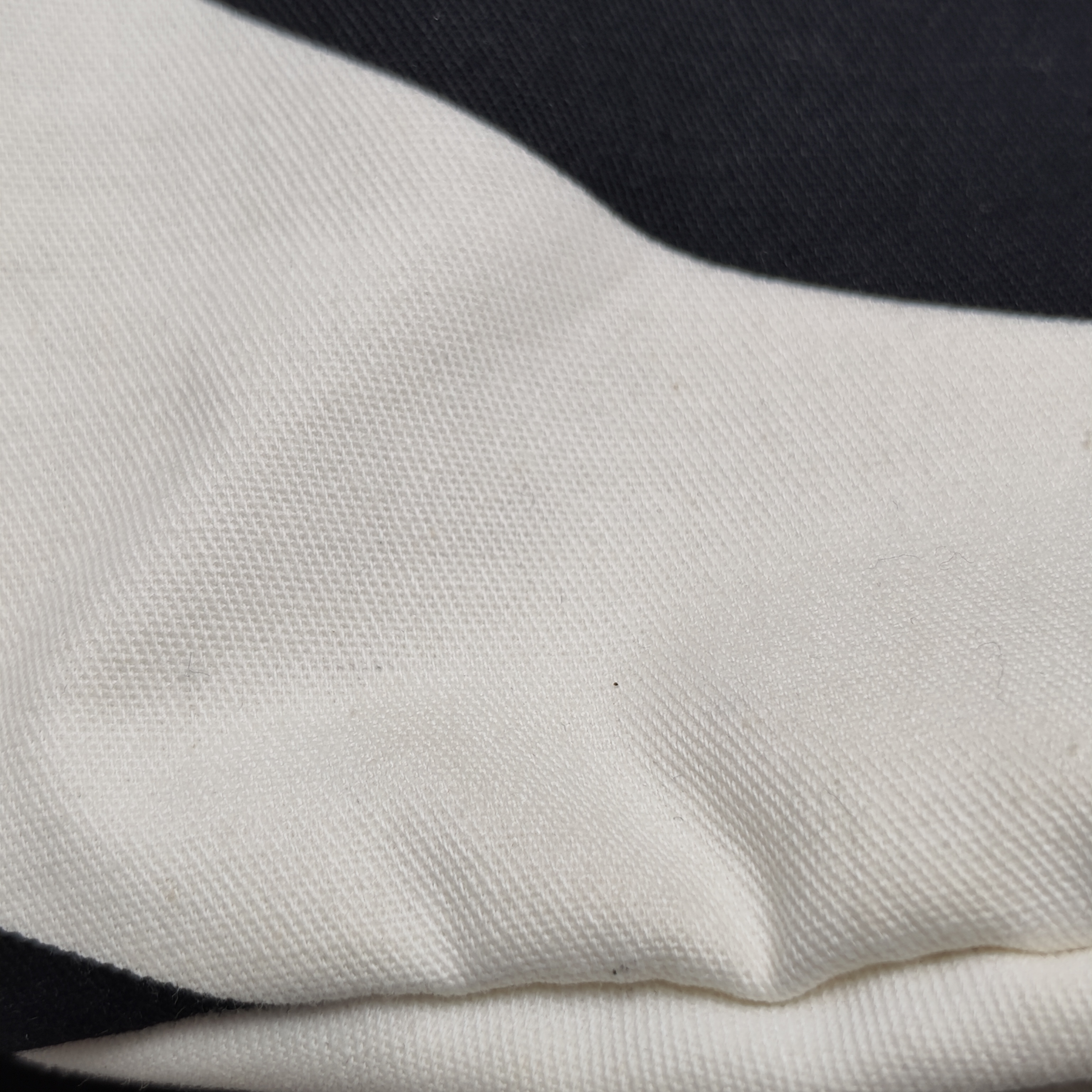 【*Shipped from: China*】CHANEL Canvas Shoulder Bag — view 11