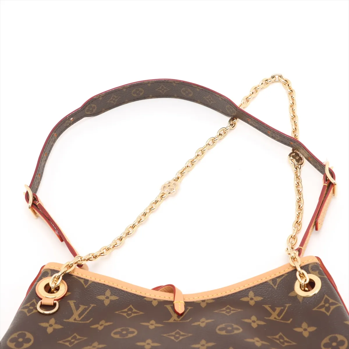 Monogram Carryall BB M13014 Brown RFID response — view 6