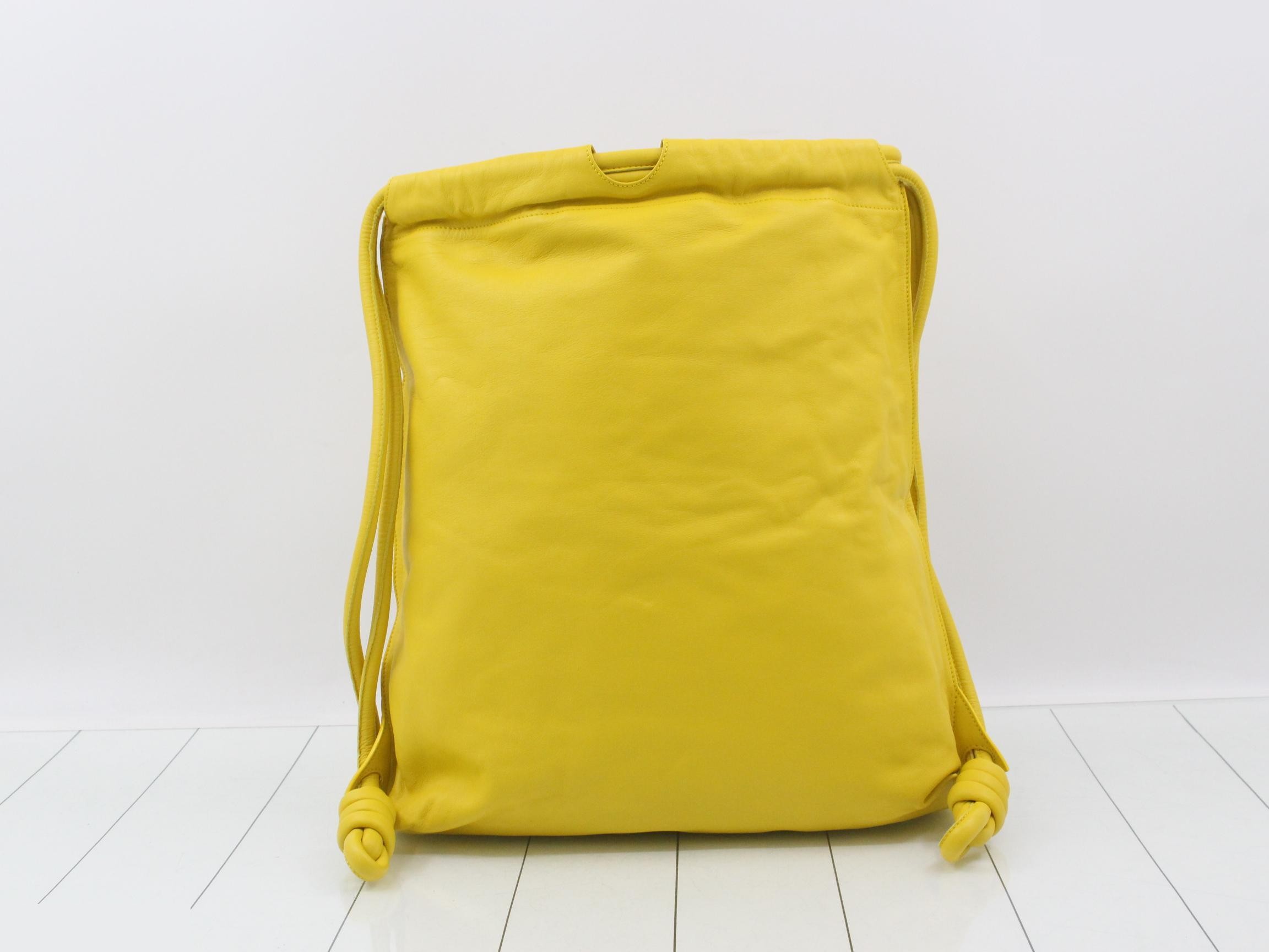Dragonfly nymph backpack — view 2