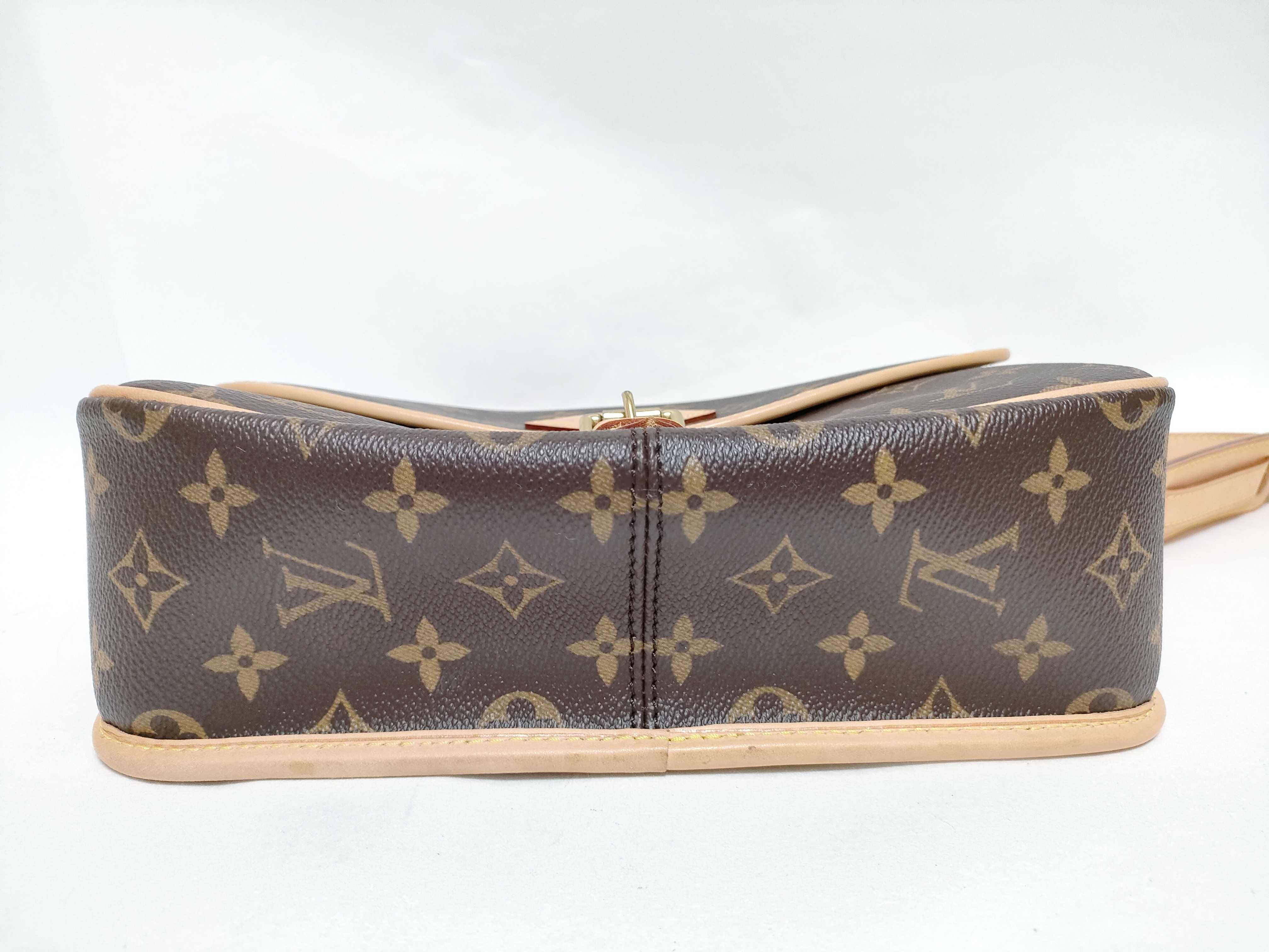 Monogram Sologne Shoulder Bag — view 7