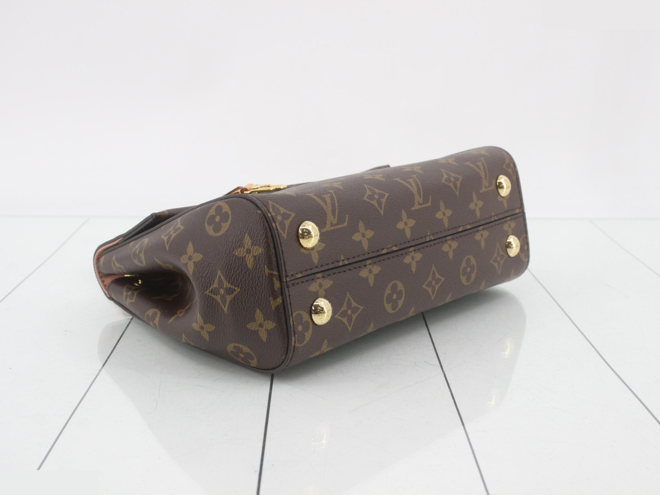 Monogram Cluny BB 2-Way Handbag — view 5