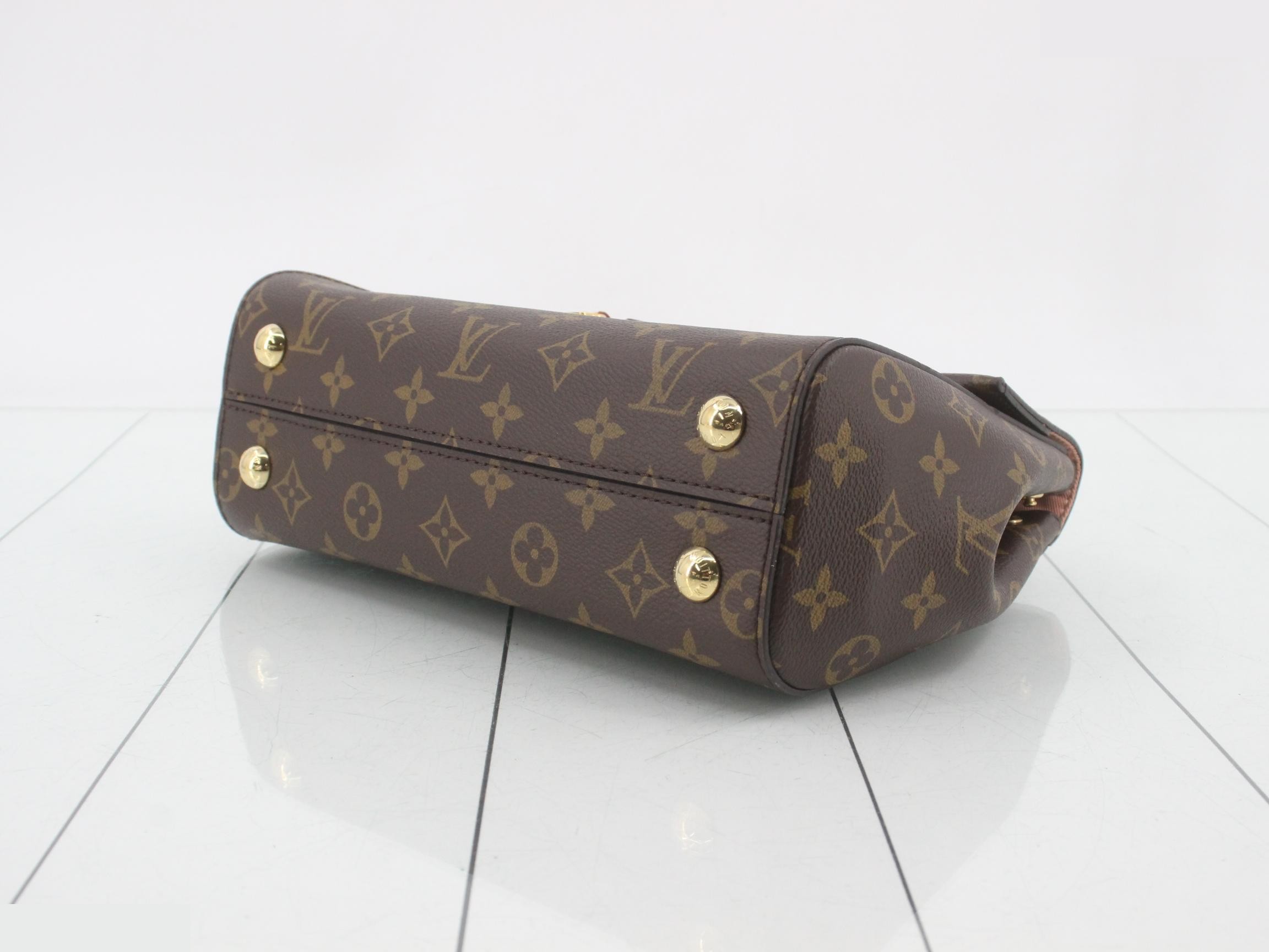 Monogram Cluny BB 2-Way Handbag — view 6