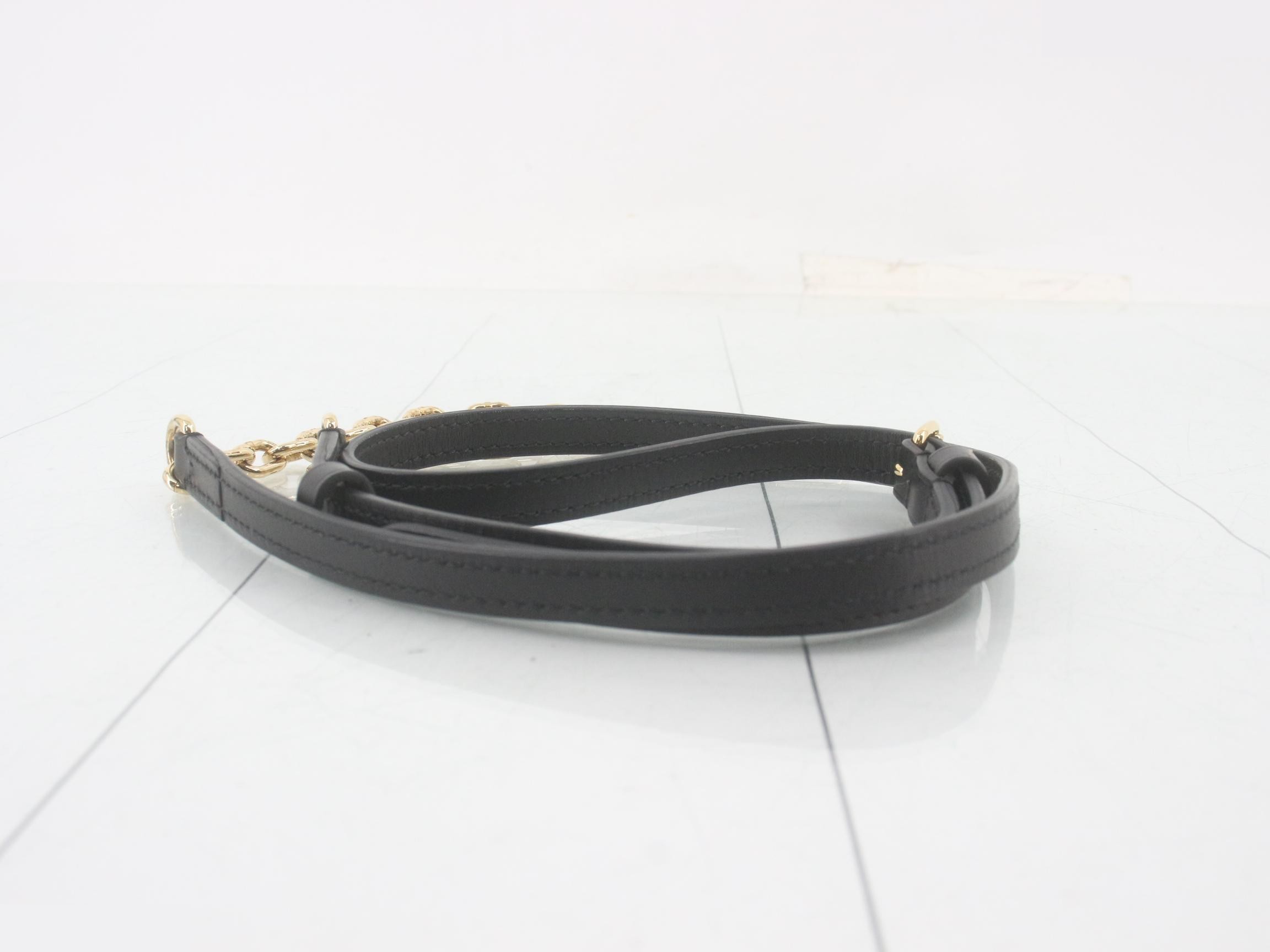 Shoulder strap for trunk clutch — view 2