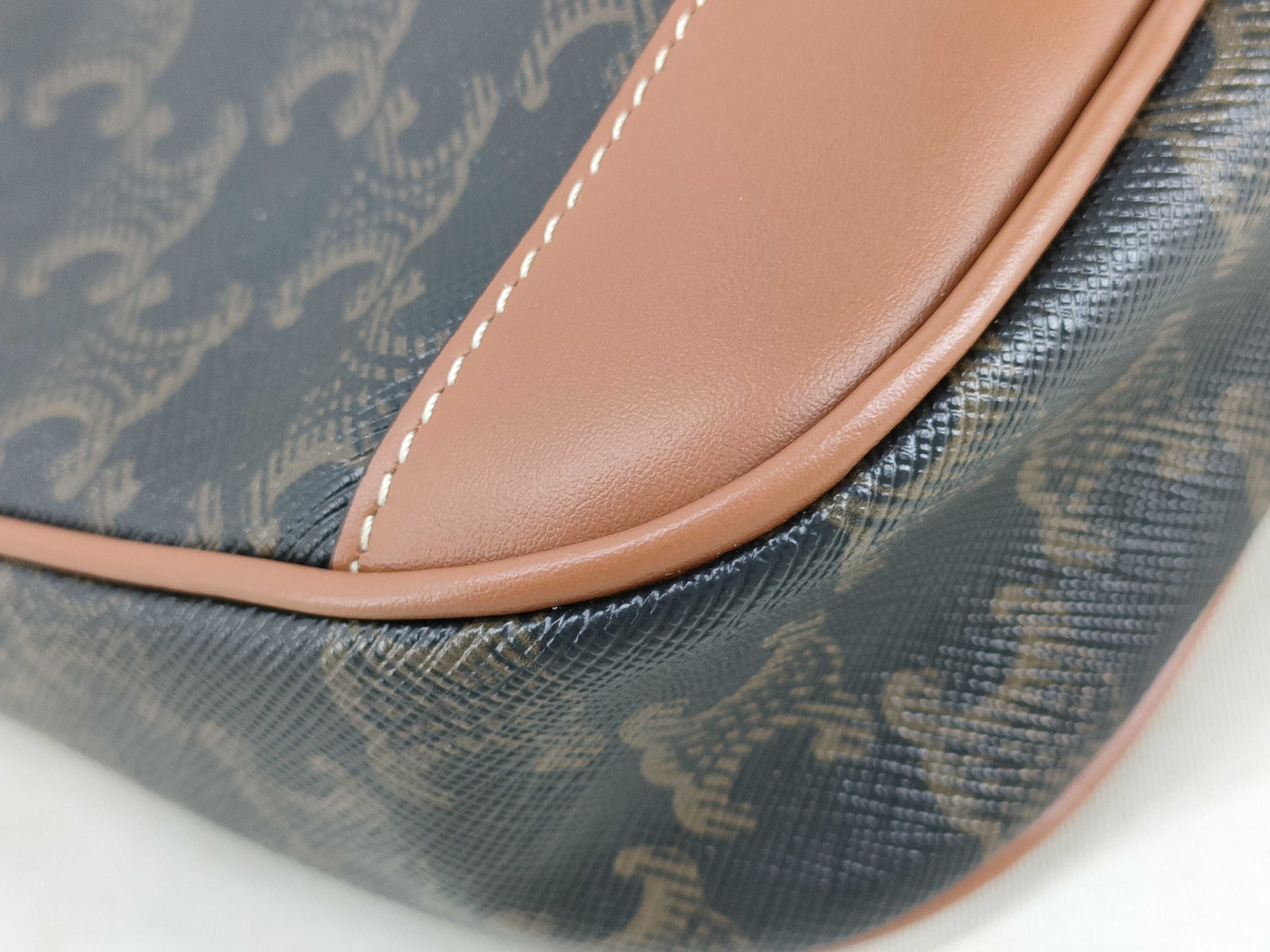 Triomphe Canvas Shoulder Bag — view 4