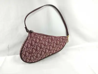 Trotter Christian Dior Trotter Saddle One Shoulder Bag
