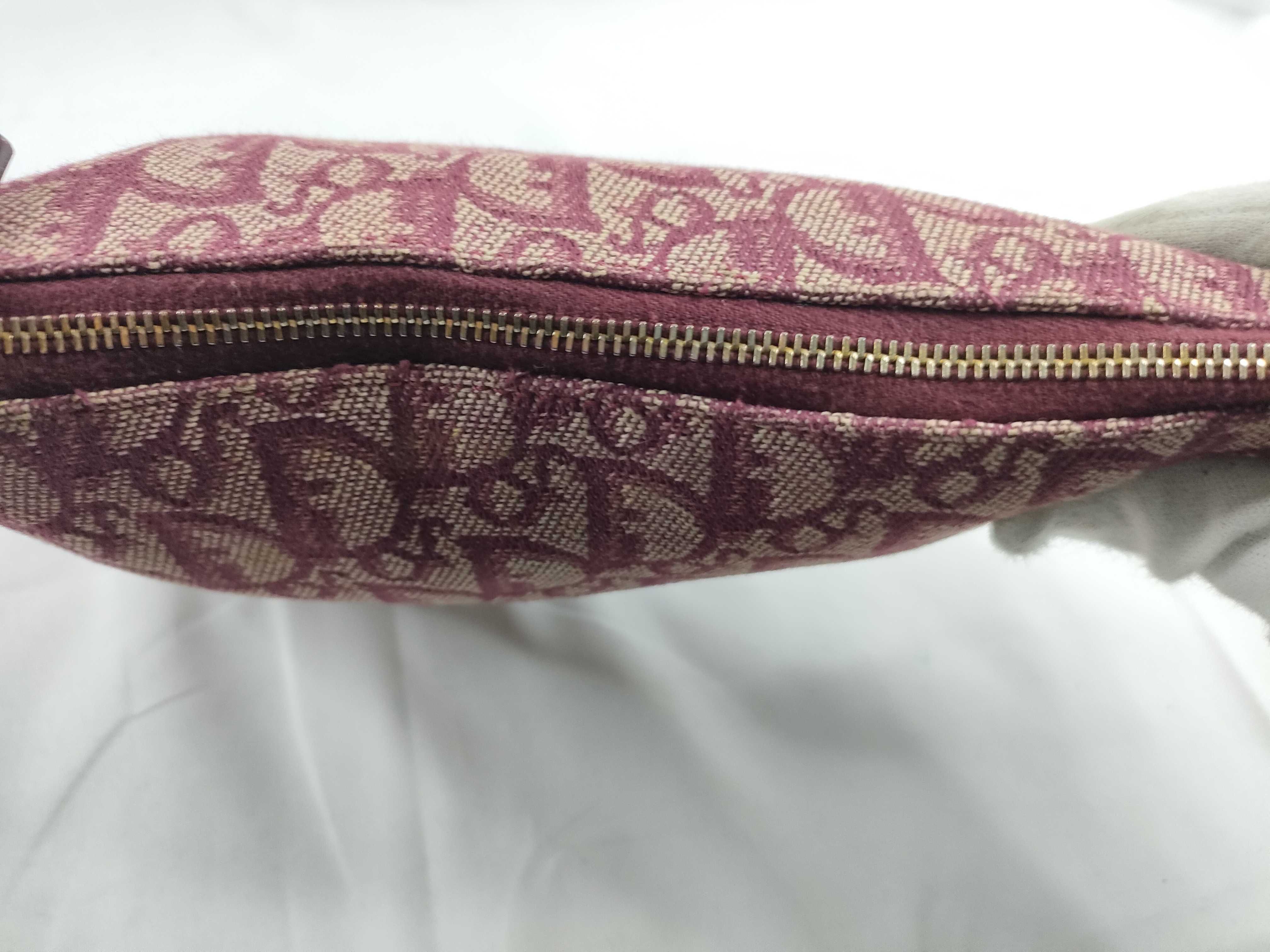Trotter Christian Dior Trotter Saddle One Shoulder Bag — view 9